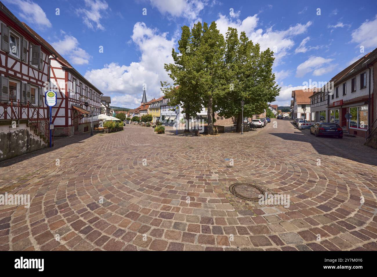 Place du citron vert avec des citronniers d'été (Tilia platyphyllos), arrêt de bus et disposition de la rue sous le ciel bleu avec des nuages cumulus de la perspectiv de la grenouille Banque D'Images