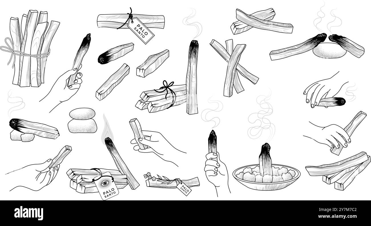 Palo santo. Aromathérapie bâton en bois naturel illustrations vectorielles récentes dessinées à la main Illustration de Vecteur