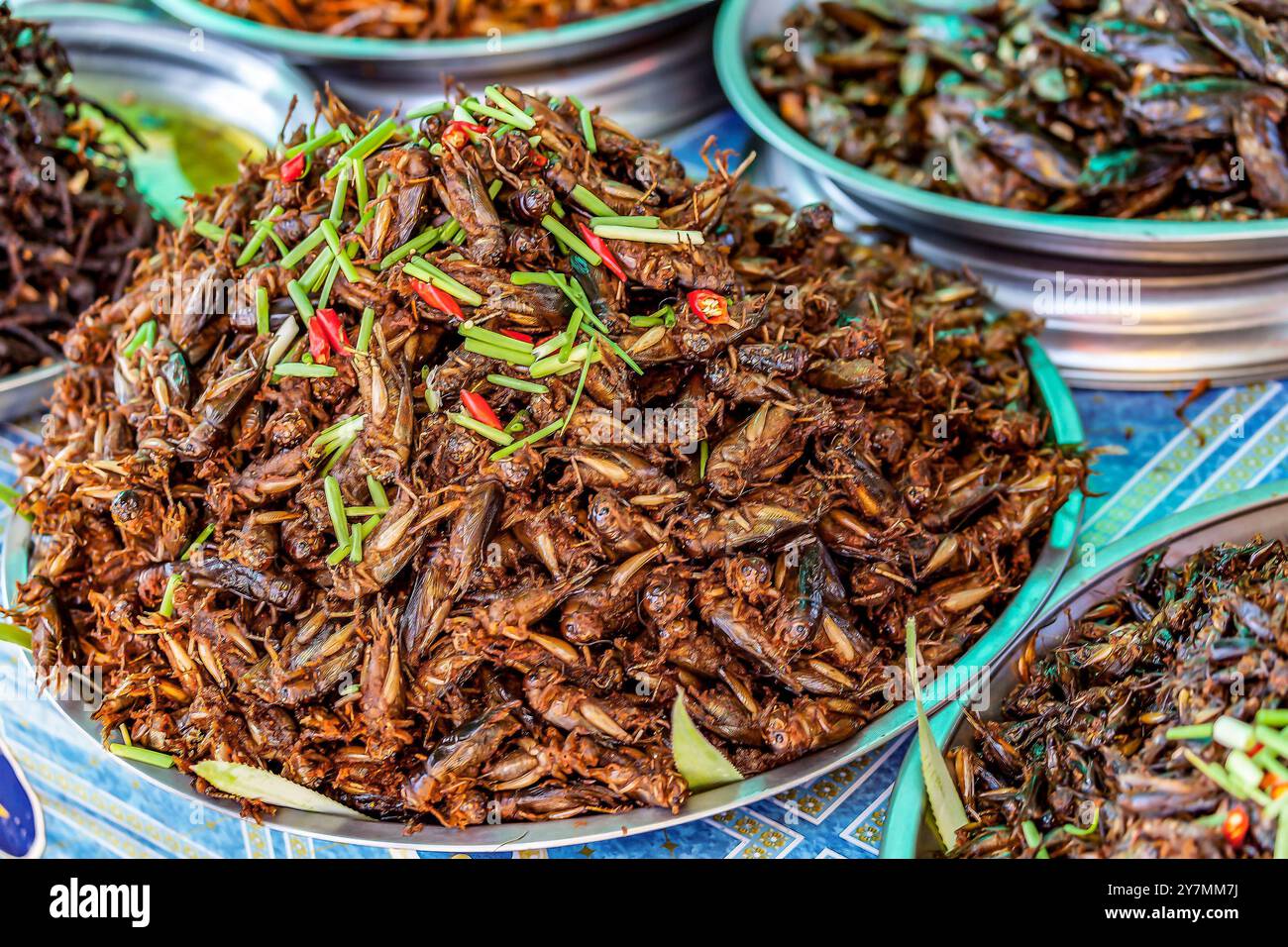Criquets frits et divers insectes comestibles à vendre au marché Skun, près de Phnom Penh, Cambodge Banque D'Images