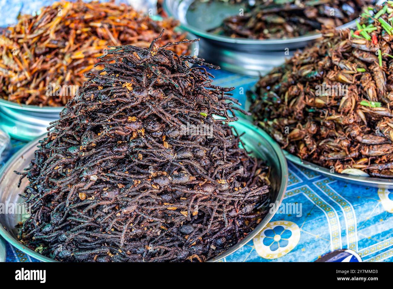 Tarentules frites et divers insectes comestibles à vendre au marché Skun, près de Phnom Penh, Cambodge Banque D'Images