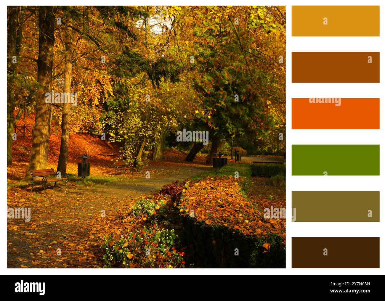 Nuances de l'automne. Beau paysage d'automne et palette de couleurs assorties Banque D'Images