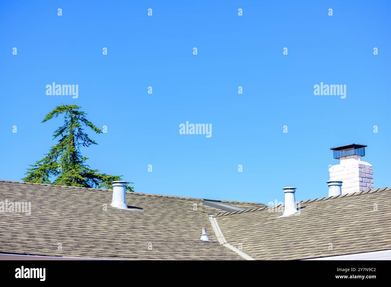 Un toit en bardeaux avec de multiples évents en métal blanc et une cheminée en briques blanches, posé contre un ciel bleu clair. Banque D'Images