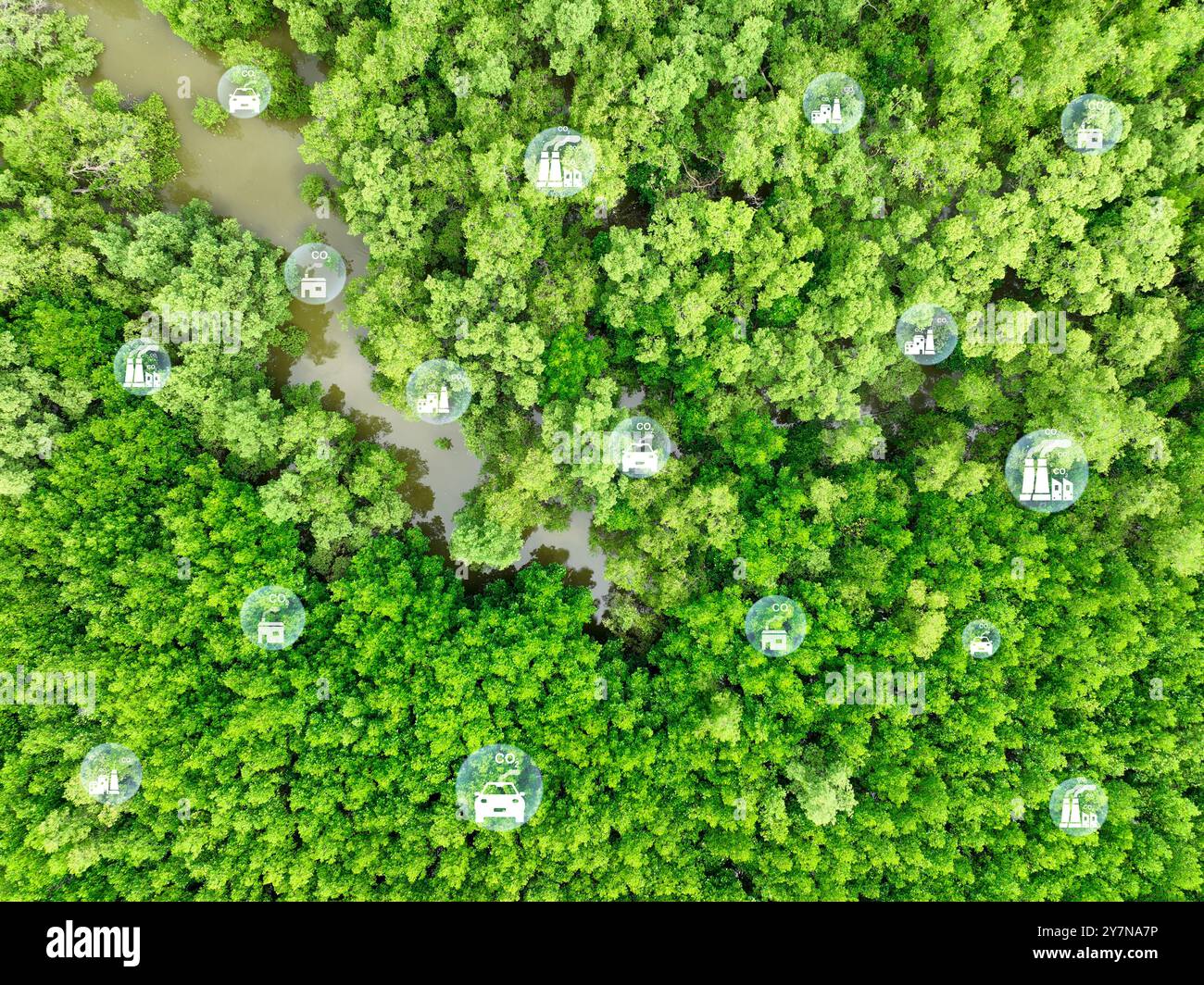 Concept de neutralité carbone. Capture par les arbres verts des émissions de carbone des usines et des transports. Puits de carbone naturels, réduction du CO2, pollution Banque D'Images