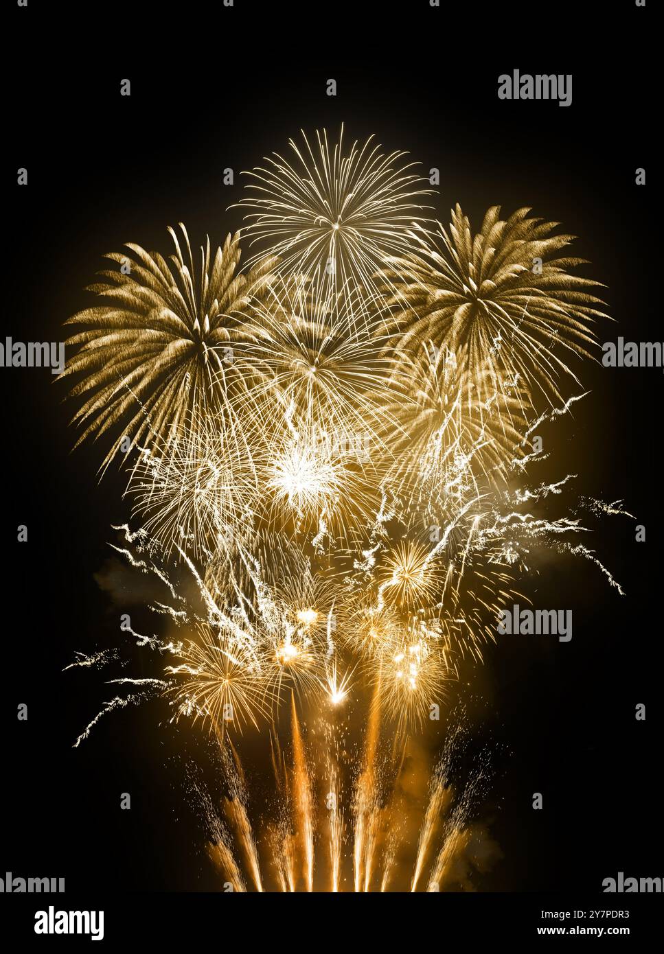 Grand feu d'artifice doré pour mariages, fêtes de nouvel an et événements de luxe. Banque D'Images