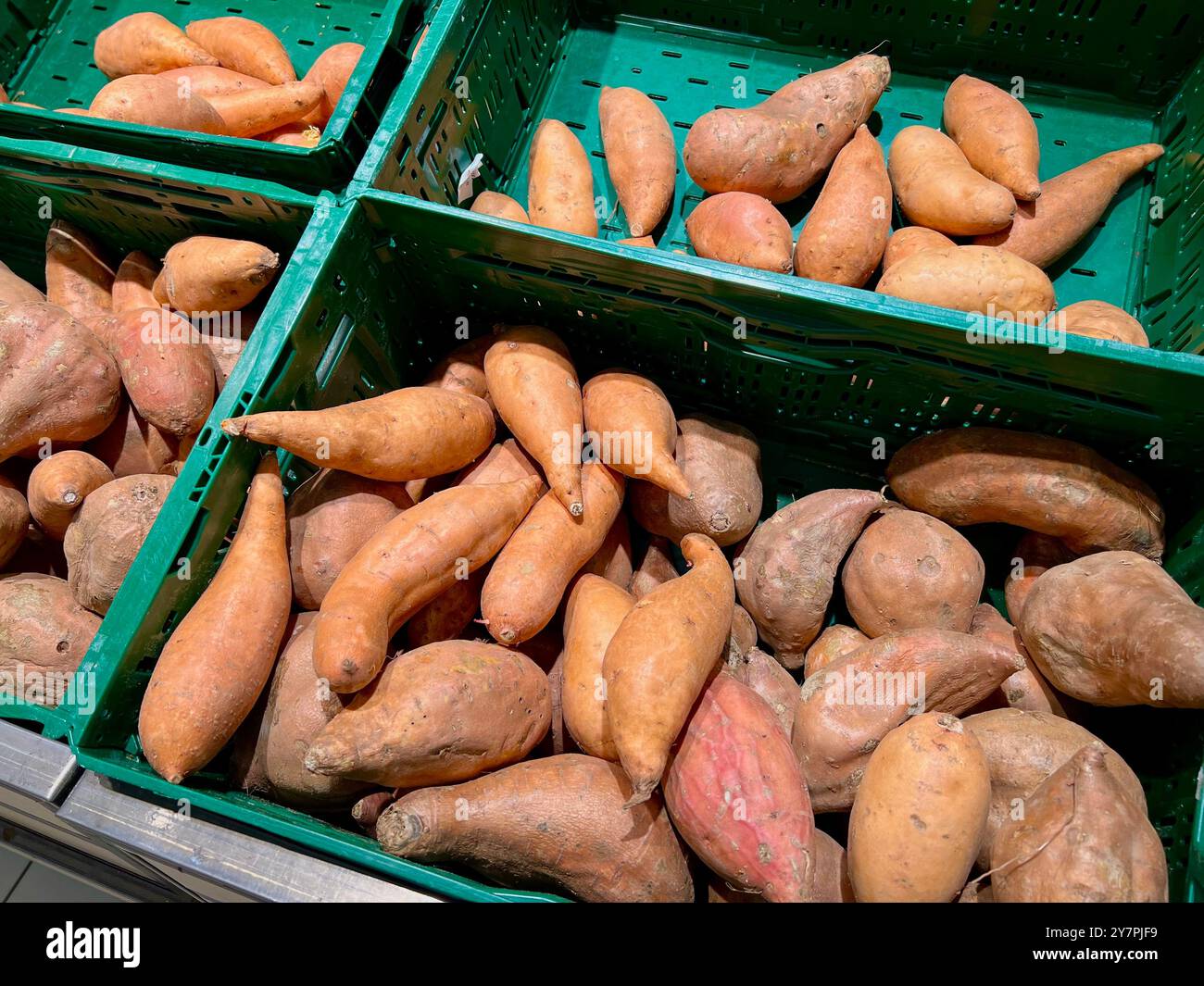 Boîtes de patates douces dans le magasin. Achat et vente de patates douces. Nutrition saine, nutrition appropriée. Achat et vente de légumes et de fruits - Image de stock capturée avec un smartphone