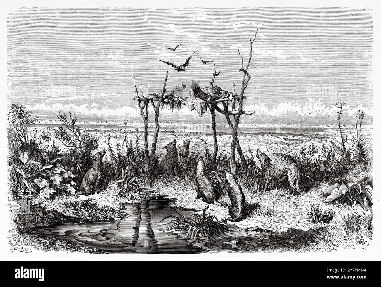 Enterrement australien dans le désert, Australie. Dessin de Gustave Dore (1832-1883) voyage de Sydney à Adélaïde, 1860. Le Tour du monde 1860 Banque D'Images