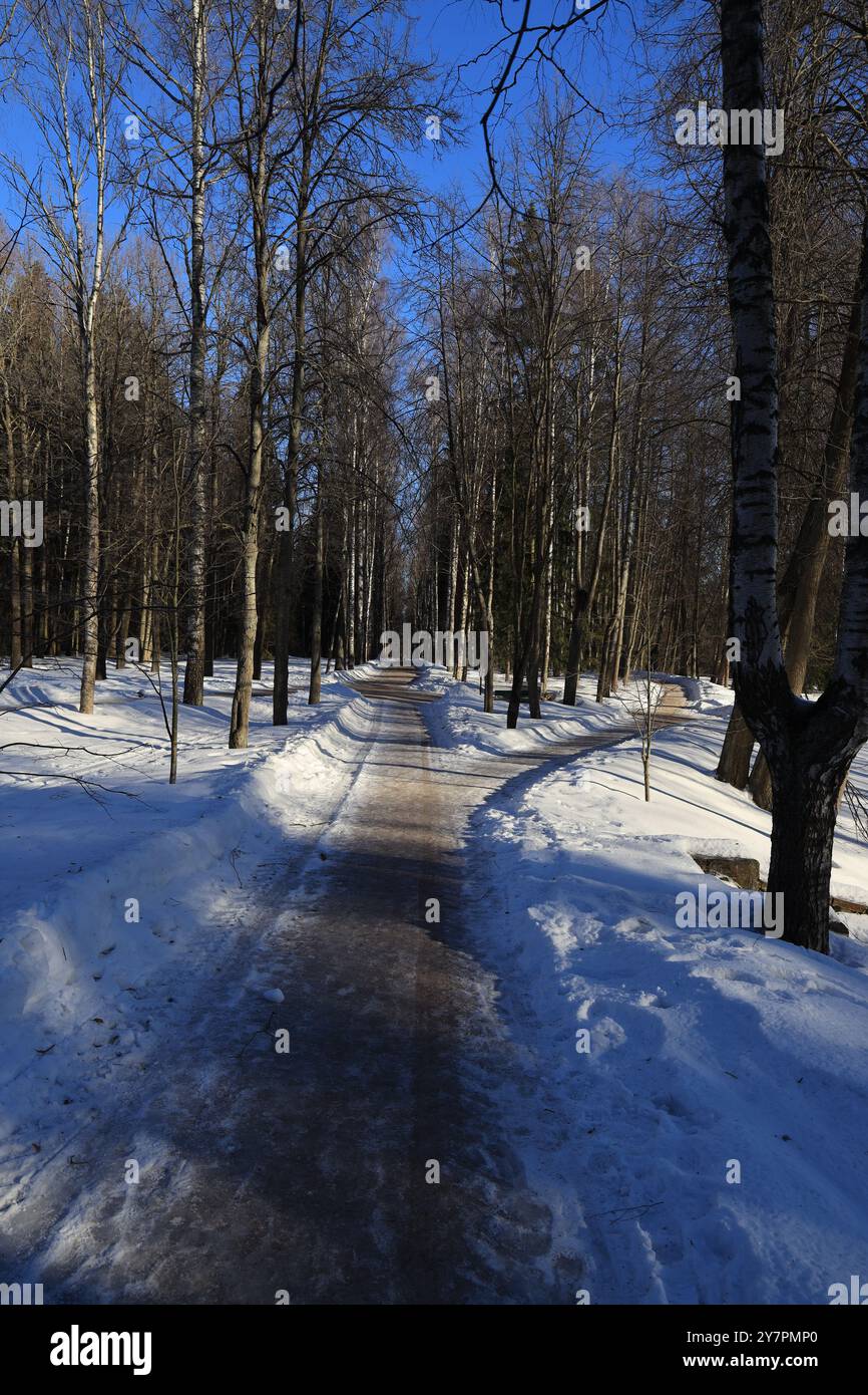Une bifurcation dans la route des sentiers pédestres dans le parc d'hiver dans l'orientation verticale tôt le matin Banque D'Images