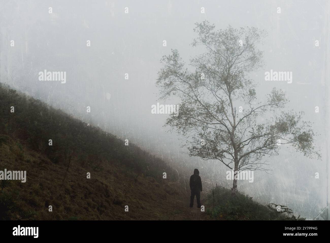 Une figure à capuche effrayante. Debout au loin à côté d'un arbre sur une colline brumeuse effrayante. Avec un montage vintage et grunge. Banque D'Images