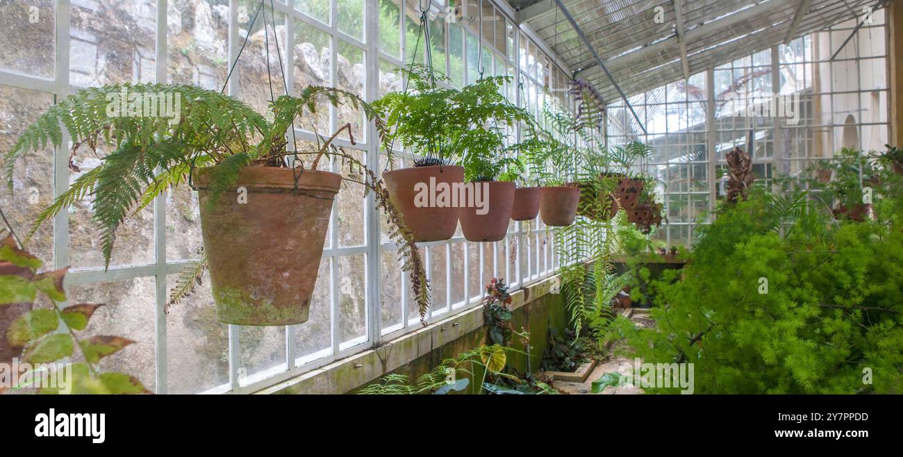 Sintra, Portugal, 8 août 2024 : Quinta da Regaleira, l'une des principales attractions touristiques de Sintra. Serre à parois de pierre Banque D'Images