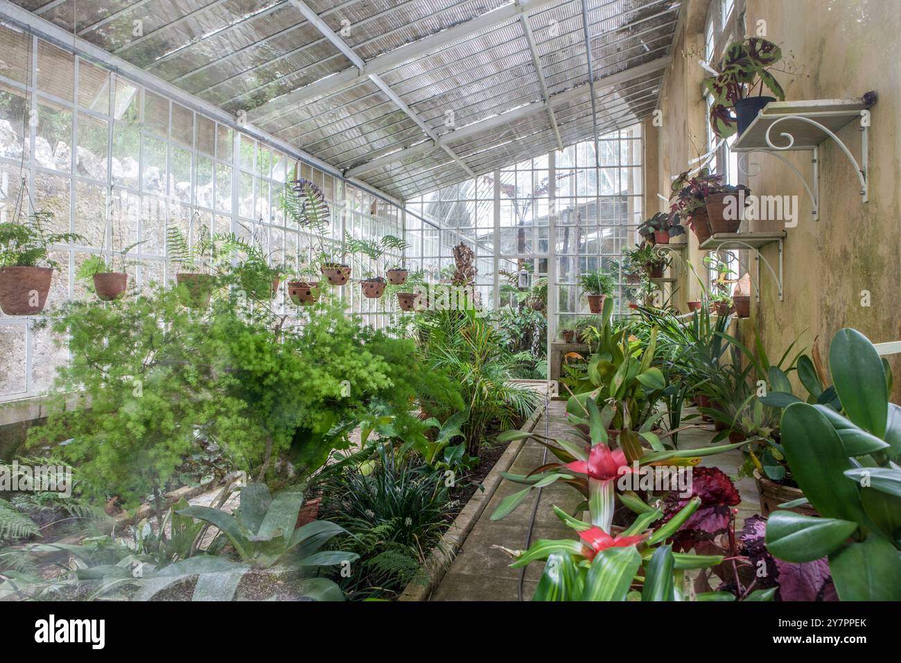 Sintra, Portugal, 8 août 2024 : Quinta da Regaleira, l'une des principales attractions touristiques de Sintra. Serre à parois de pierre Banque D'Images