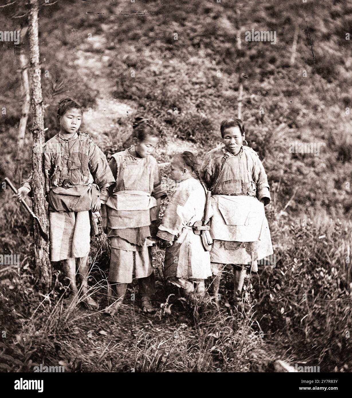 Photographie vintage de Formosa (Taiwan). Par John Thomson, 1871. Un groupe de quatre groupes de Taïwanais debout au milieu du feuillage. Banque D'Images