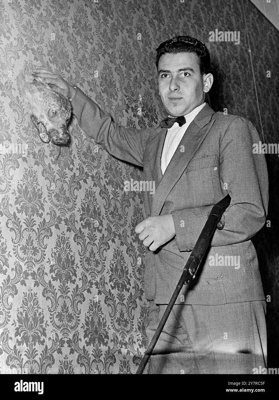 LOSAKEN LOVER VEUT DUEL AVEC FAROUK. Le 18.2,54, Enzio Ancarola, un étudiant en ingénierie à l'Université de Naples, a juré de vengeance contre l'ancien roi Farouk d'Egypte pour avoir volé sa chérie, Signorina Irma Capoce Minutolo, anciennement Miss Naples et officiellement fiancé à Ancarola avant de rencontrer Farouk. Miss Minutolo est la compagne de Farouk depuis plusieurs semaines dans une visite des stations d'hiver européennes. I.N.P. photo montre Ancarola avec un loup qu'il a abattu. Il déclare qu'il va duel avec Farouk à mort et étudie l'égyptien afin qu'il puisse lancer le défi. 3/MB/74612 I Banque D'Images