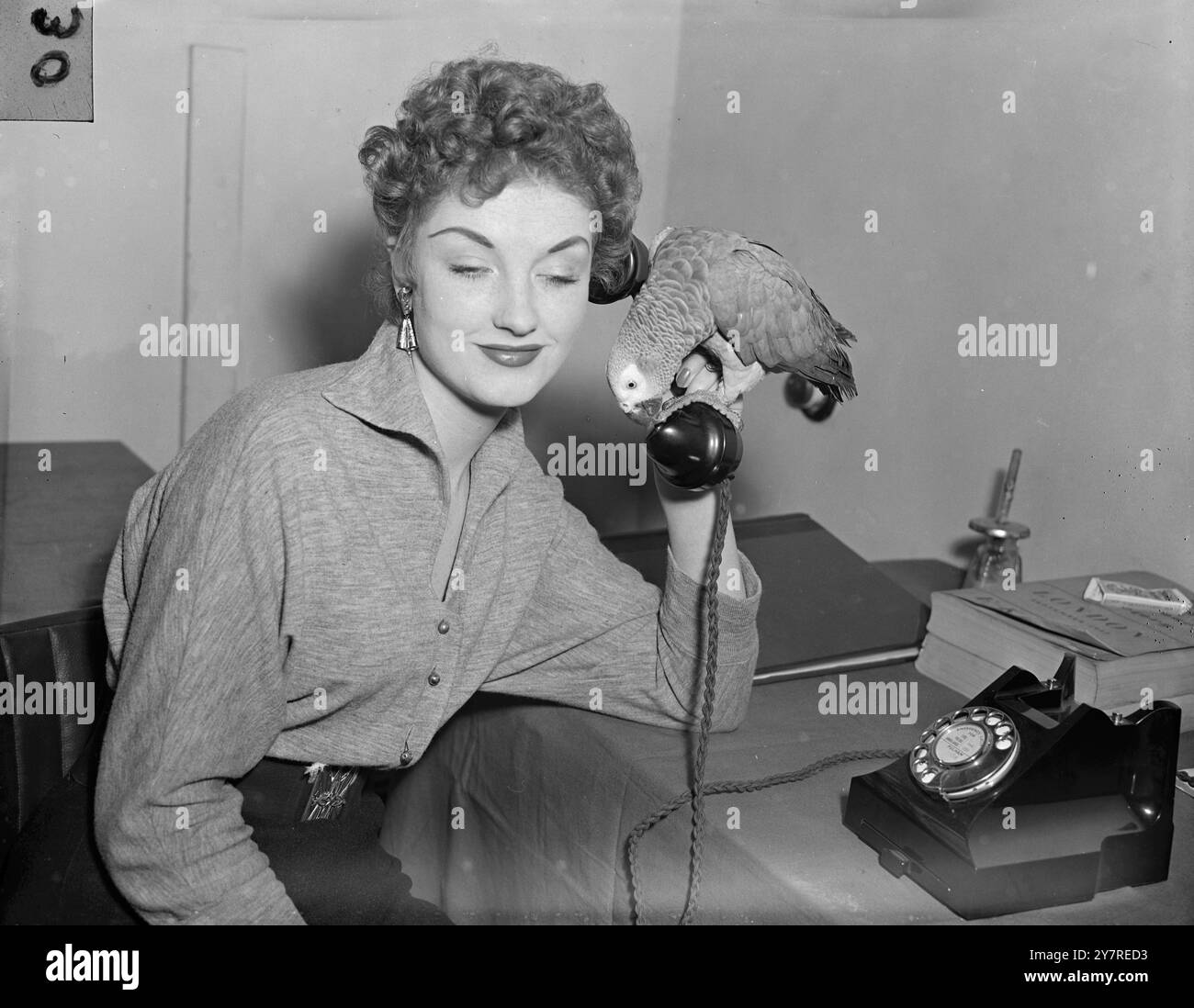 JE PARLERAI POUR MOI-MÊME. Ce perroquet gris africain avait un mot à dire pour lui-même lorsqu'il a partagé un appel téléphonique avec l'actrice Shirley Lorimer à la 10e exposition nationale des oiseaux de cage à Olympia de Londres. Shirley doit juger les 41 Talking Birds dans le spectacle, qui ouvre au public demain. Photo de Reg Palmer PJ/73673 International News photos. Banque D'Images