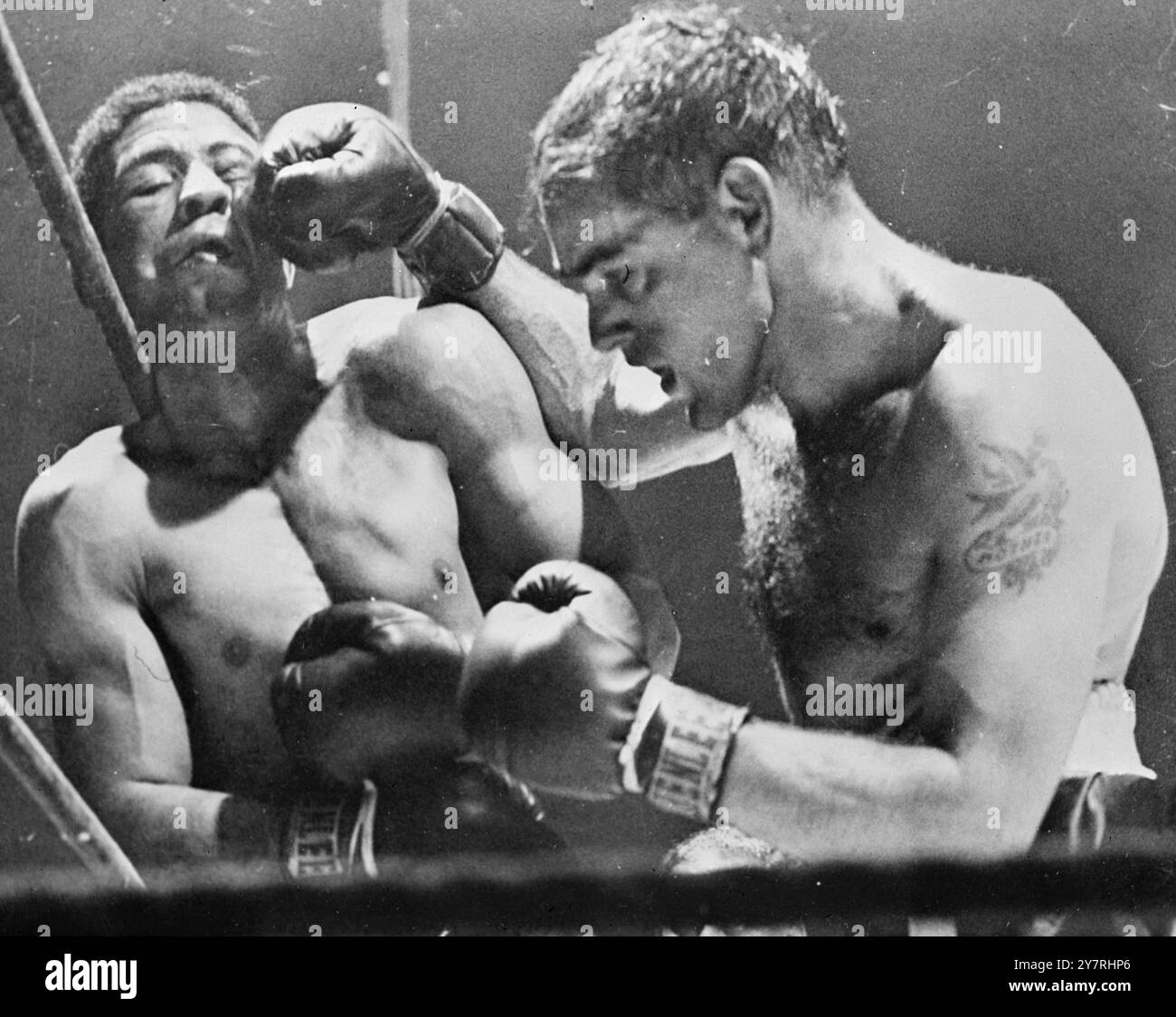 OLSON REMPORTE LE TITRE MONDIAL DES POIDS MOYENS AU 22.10.53. L'américain Carl 'Bobo' Olson a devancé le britannique Randolph Turpin pour remporter le championnat du monde incontesté de boxe poids moyens au Madison Square Garden, New York, hier soir. Auparavant, chaque homme avait été reconnu dans son propre pays comme champion du monde. Photo I.N.P. montre que Turpin bloque à gauche d'Olson, l'américain atterrit à droite de son visage. Photos d'actualités internationales Banque D'Images