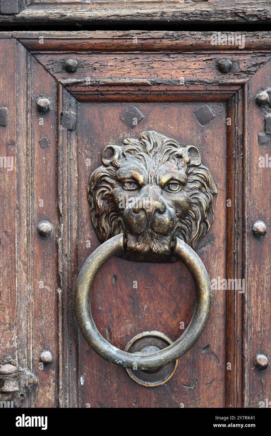 Frappeur de porte en métal ou poignée de porte avec visage de lion dans Old Studded porte en bois Castellane France Banque D'Images