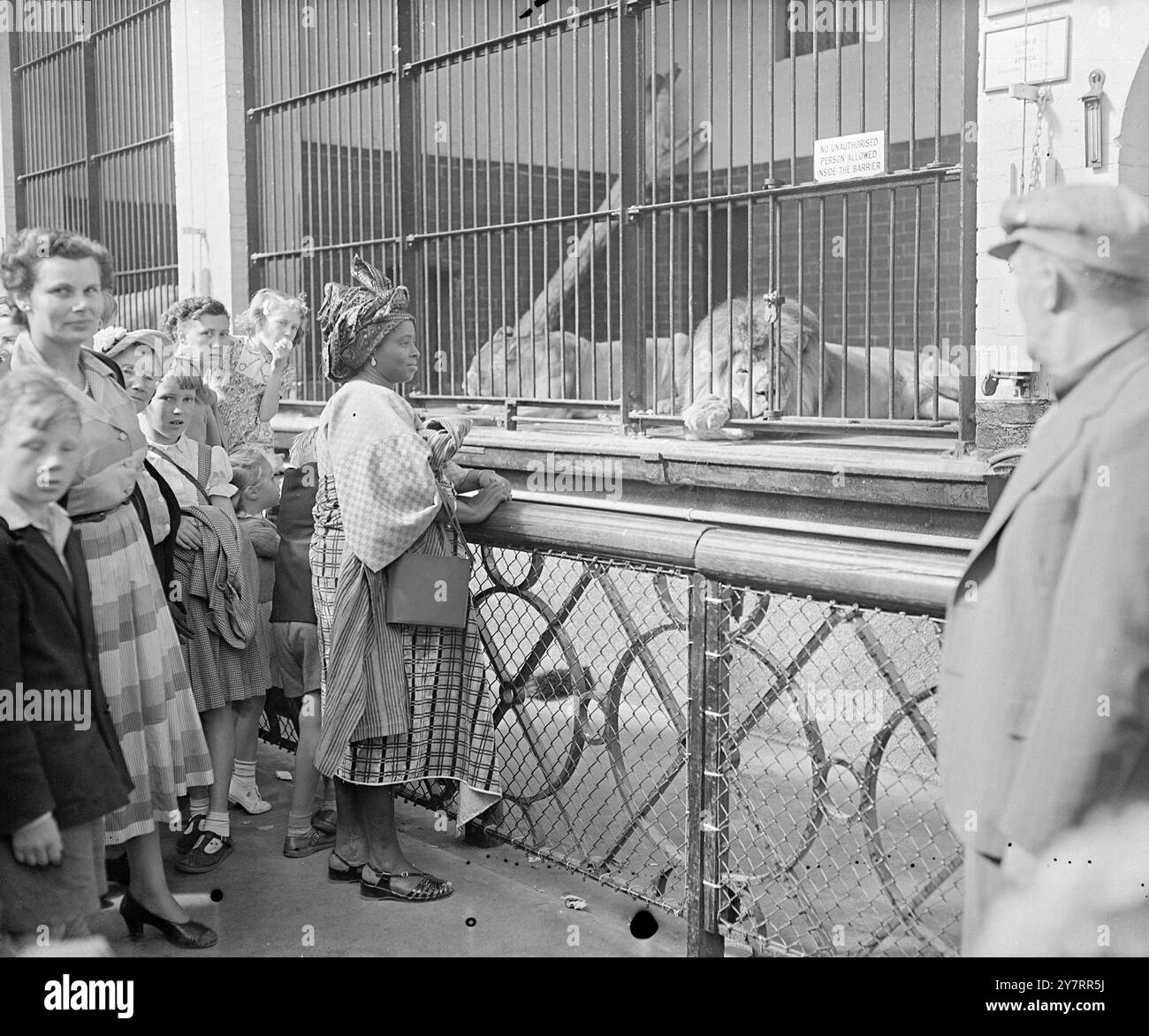 MME AWOLOWO VISITE LE ZOO - 27.8,53. - 12 - MRS M. Awolowo, l'épouse d'un ministre nigérian occidental - participant à la récente conférence africaine à Londres, aujourd'hui - a effectué sa première visite au zoo. - I.N.P. photos Shows bien que venant du pays du lion - du Nigeria, MRS Awolowo n'avait jamais vu - One et W&S fascinés par Sir Winston - Rota de Churchill. - Photo de Joe Waldorf - PJ/70796 - International News photos Banque D'Images