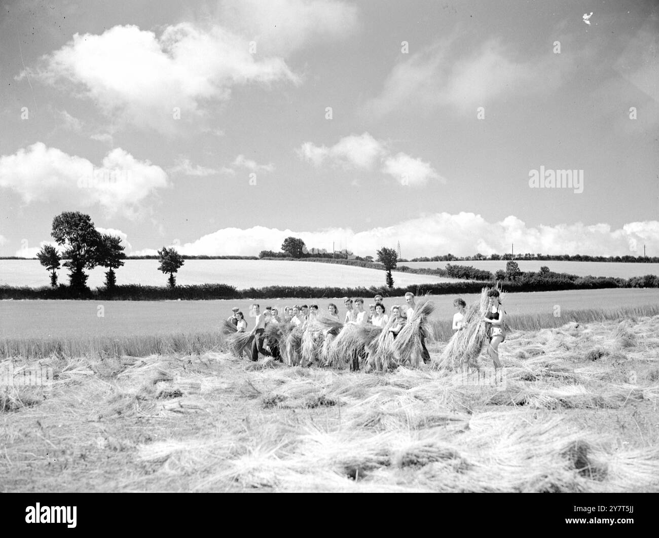 LES PAQUETS DE VACANCIERS POUR LA GRANDE-BRETAGNE L'air frais et les grands espaces font du travail un plaisir pour ces vacanciers du camp de volontaires agricoles à Middlezoy , Somerset , comme ils aident avec le lin à Cary Poole Farm , Nether Stowey ( Somerset ) 29 juillet 1949 Banque D'Images