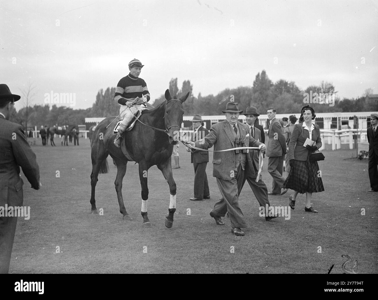 TEXTE ORIGINAL COLORÉ SCHOOL BOY WINS HURST PARK ' CHASE . Coloured School Boy, avec J.A. Bullock Up, dirigé par son propriétaire, Mr. W.F. Highnam , après avoir remporté le Grand Sefton Trial handicap steeplechase à Hurst Park aujourd'hui. (Le chevalier blindé était deuxième et mince troisième). La reine était parmi les spectateurs de la réunion, la première à Hurst Park où la course à plat et le steeplechasing avaient été combinés. 1950 Banque D'Images
