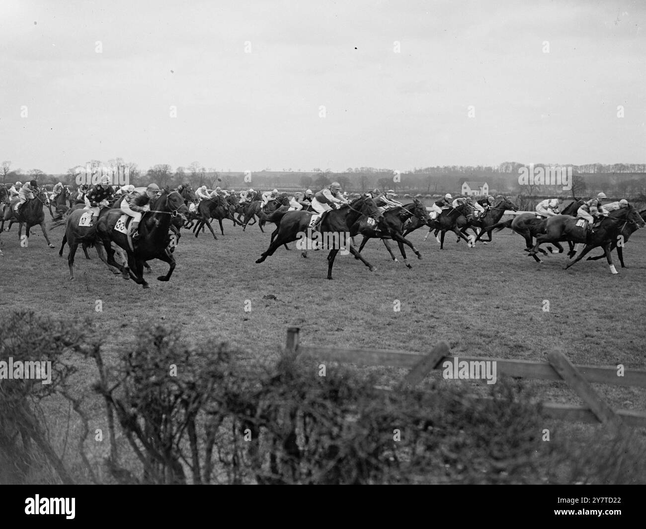 LINCOLN DRAMATIC , propriété de .R. A. E. Saunders et monté par Gordon Richards , a marqué une victoire de 7-1 dans le Lincolnshire handicap à Lincoln aujourd'hui . Il a battu le vainqueur de l'année dernière , M. . C .W. Gordon's Fair Judgment ( W. Rickaby Up ) , de trois longueurs . M. A. Barnett's Paljoy ( W . Christie Up ) troisième , deux longueurs derrière le jugement équitable . 18 mars 1950 Banque D'Images