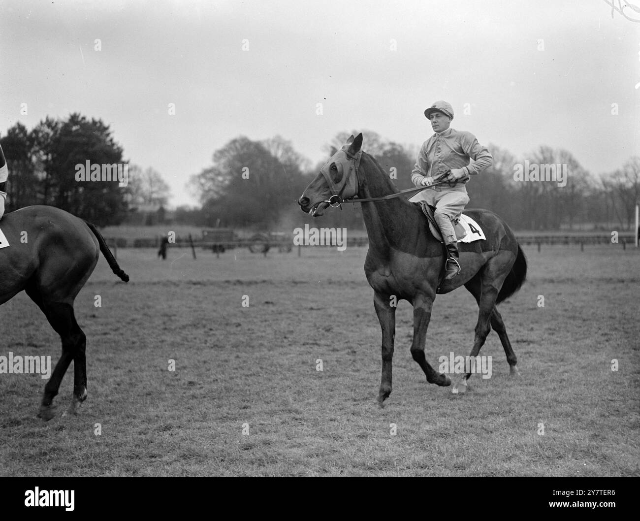 DANS LA colonne NATIONALE , avec G. Slack dans la selle, qui portera Mr. Les couleurs d'Alfred Sainsbury dans le Grand National à Aintree, Liverpool, le 25 mars. :, formé par Mr.W.Bissill à Aslockton, Nottinghamshire, a 10 ans. Il portera 10 pierres 1 livres dans le National. 18 février 1950 Banque D'Images