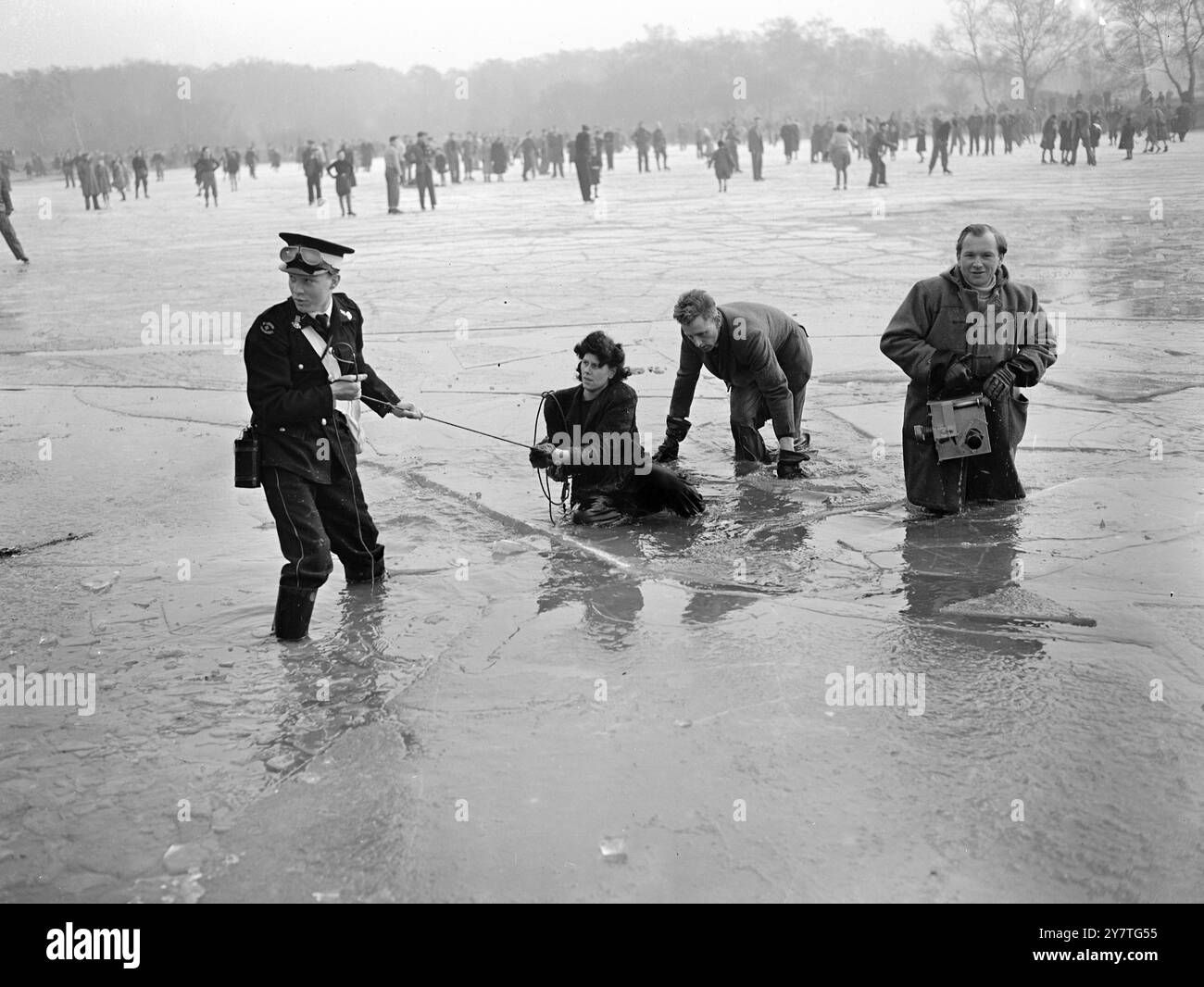 CONTE DE L'HIVER EN QUATRE ÉPISODES GLACÉS 29 janvier 1950 ce conte sombre de trahison, d'opportunisme, de désillusion et de bonne camaraderie s'est déroulé sur la glace brillante de l'étang gelé de Wimbledon Common, londres aujourd'hui ( dimanche) méchant de la pièce était la glace, qui a attiré des foules de patineurs sur sa surface souriante mais a distingué Betty Dodd et William Sowan comme ses victimes, quand il les a craqué et les a attiré dans ses profondeurs glacées. Opportuniste était M. Samuelson Movietone caméraman, qui a saisi sa chance pour quelques bonnes photos, mais a été tristement déçu quand il a lui aussi coulé à travers une surface soudainement levante. H Banque D'Images