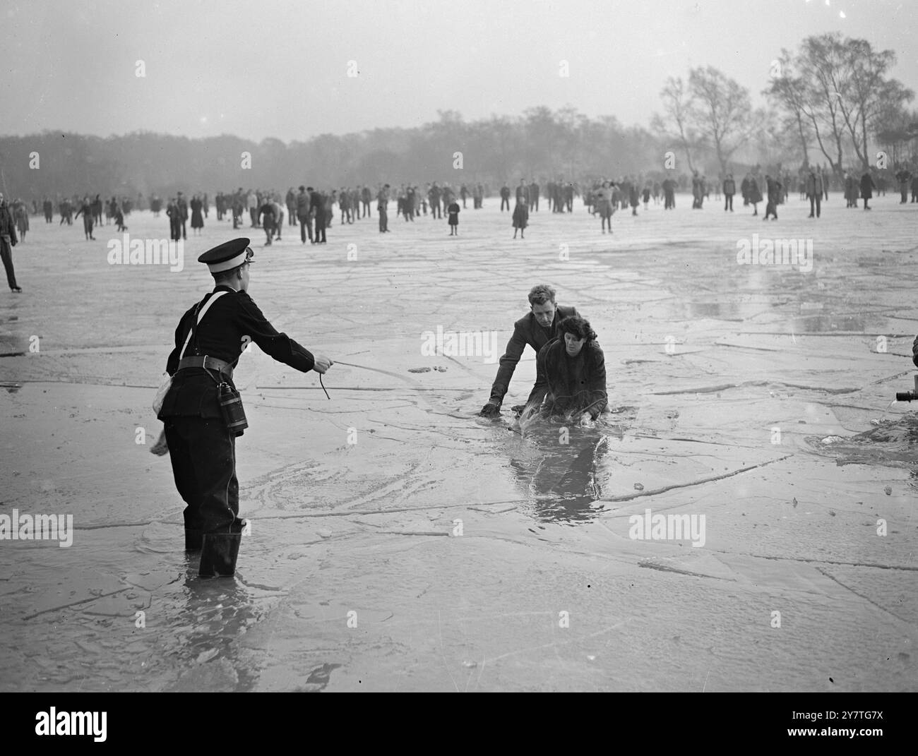 CONTE DE L'HIVER EN QUATRE ÉPISODES GLACÉS 29 janvier 1950 ce conte sombre de trahison, d'opportunisme, de désillusion et de bonne camaraderie s'est déroulé sur la glace brillante de l'étang gelé de Wimbledon Common, londres aujourd'hui ( dimanche) méchant de la pièce était la glace, qui a attiré des foules de patineurs sur sa surface souriante mais a distingué Betty Dodd et William Sowan comme ses victimes, quand il les a craqué et les a attiré dans ses profondeurs glacées. Opportuniste était M. Samuelson Movietone caméraman, qui a saisi sa chance pour quelques bonnes photos, mais a été tristement déçu quand il a lui aussi coulé à travers une surface soudainement levante. Banque D'Images