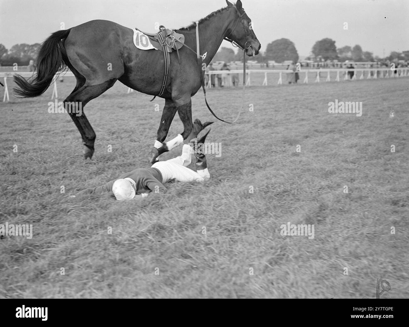 CHUTE FACE CACHÉE À FONTWELL A. Jarvis s'étendait sur le gazon après une chute dans le steeplechase de Craigweil vendant handicap à fontwell Park. Il chevauchait Mr. Douglas Clark's Bay Hill (NO.10), et la chute s'est produite après le dernier saut. (La course a été remportée par le plaid écossais) avec le deuxième fils deuxième et poppit espagnol troisième). 3 novembre 1949 Banque D'Images