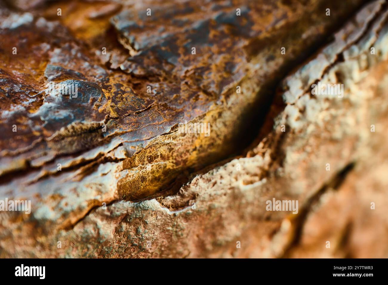 Macro photographie d'une surface avec de la rouille créant des formes et du relief Banque D'Images
