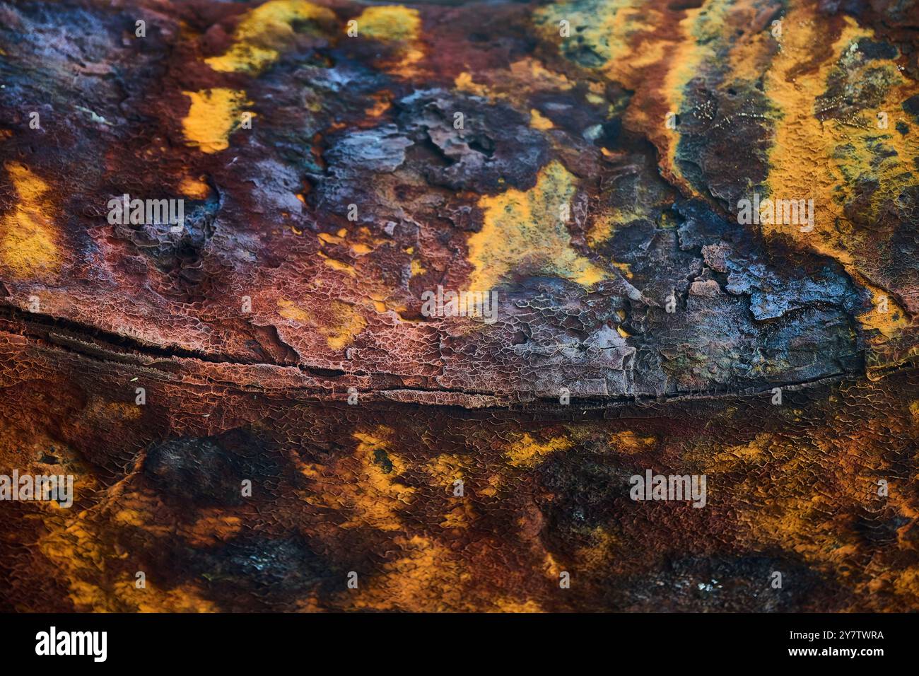 Macro photographie d'une surface avec de la rouille créant des formes et du relief Banque D'Images