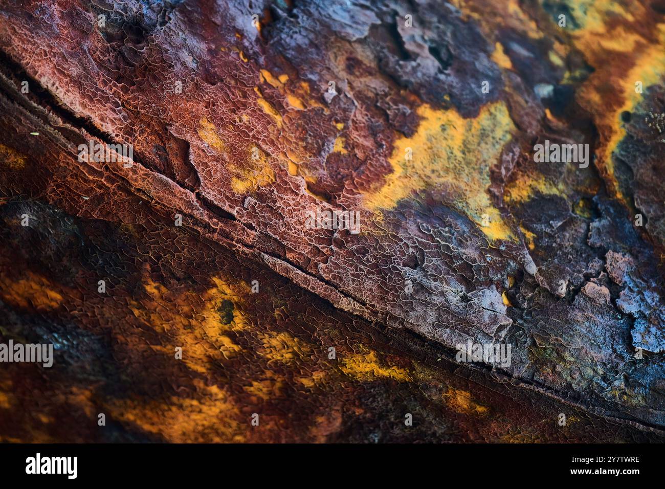 Macro photographie d'une surface avec de la rouille créant des formes et du relief Banque D'Images