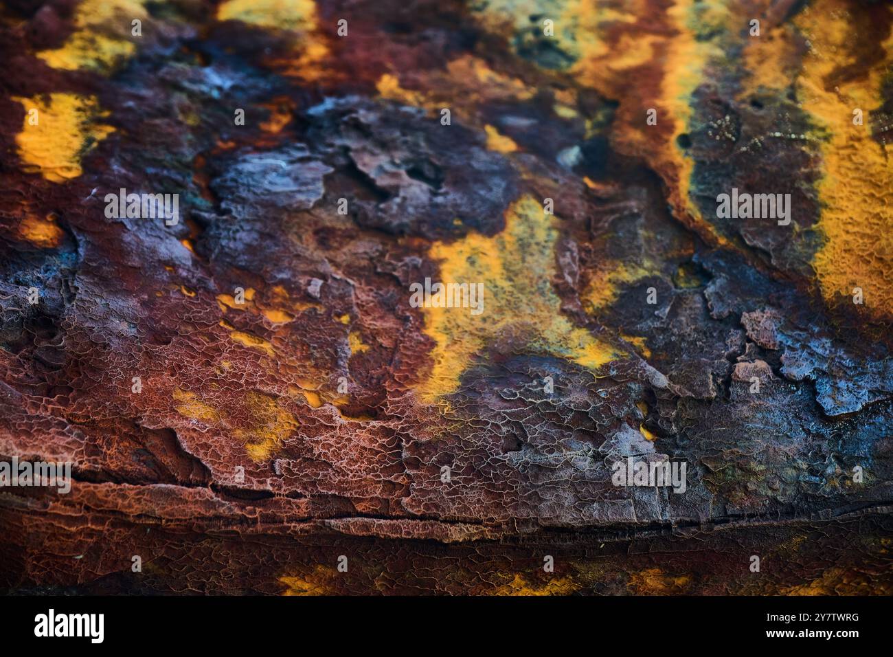 Macro photographie d'une surface avec de la rouille créant des formes et du relief Banque D'Images