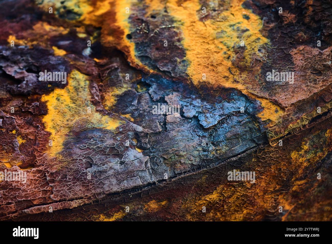 Macro photographie d'une surface avec de la rouille créant des formes et du relief Banque D'Images