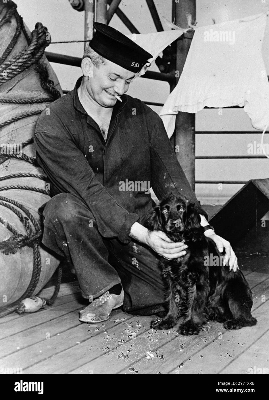 HMS CALIFORNIA DANS LE PORT américain photos montre : Able Seaman Arthur Pinnell avec la mascotte «Duchess» du HMS California, alors que le navire britannique se trouvait à Boston Navy Yard où il subit une révision. 20 octobre 1941 Banque D'Images