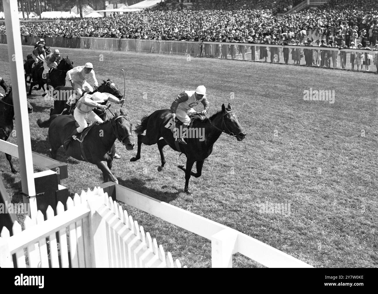 Grande course de la journée, la Stewards Cup, pour le premier jour de la réunion à Goodwood, a été remportée par Closeburn (G. Richards) qui était un cou devant le commissaire (W. Rickaby) avec Fairey Fulmar (T. Gosling) arrivant à la troisième place à une longueur. La photo montre : Closeburn (n ° 7) gagnant la Stewards Cup à Goodwood aujourd'hui de, Commissar (n ° 8) et Fairey Fulmar. 29 juillet 1947 Banque D'Images