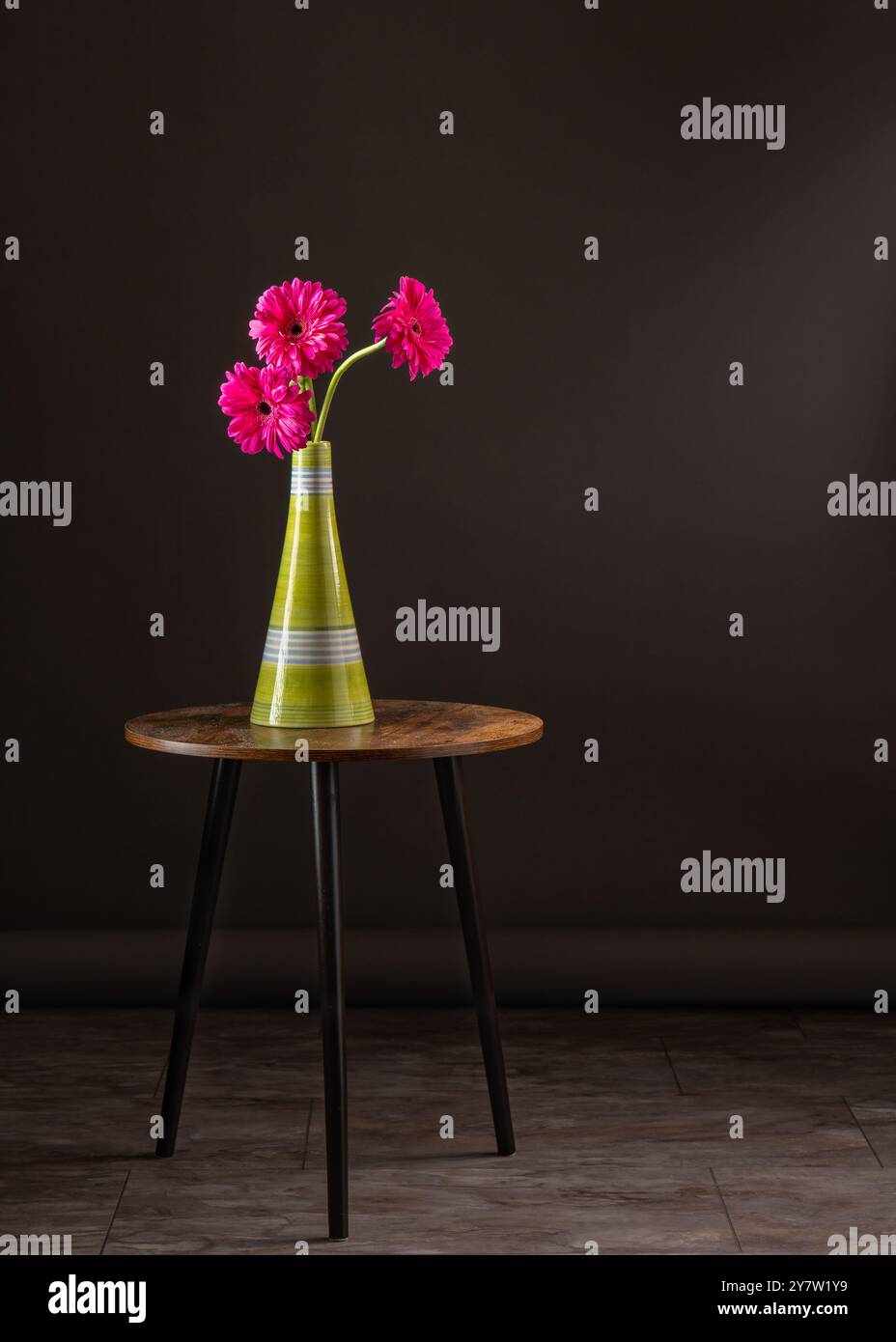 Trois fleurs lumineuses dans un grand vase léger se tiennent sur une table ronde, attirant l'attention avec leur coloration juteuse. L'arrière-plan sombre accentue le contraste. Banque D'Images