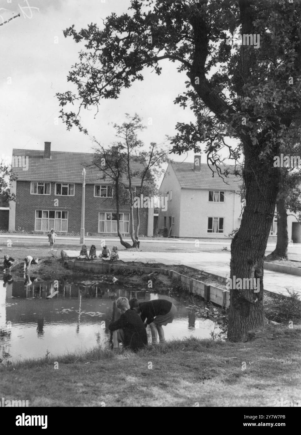 Coventry répond que l'étang naturel de Calla apporte une touche rurale au domaine de l'unité de quartier de Tile Hill, l'un des plans de logement progressistes sur lequel les travaux sont en voie d'achèvement. Derrière une maison de 4 chambres. Septembre 1953 Banque D'Images
