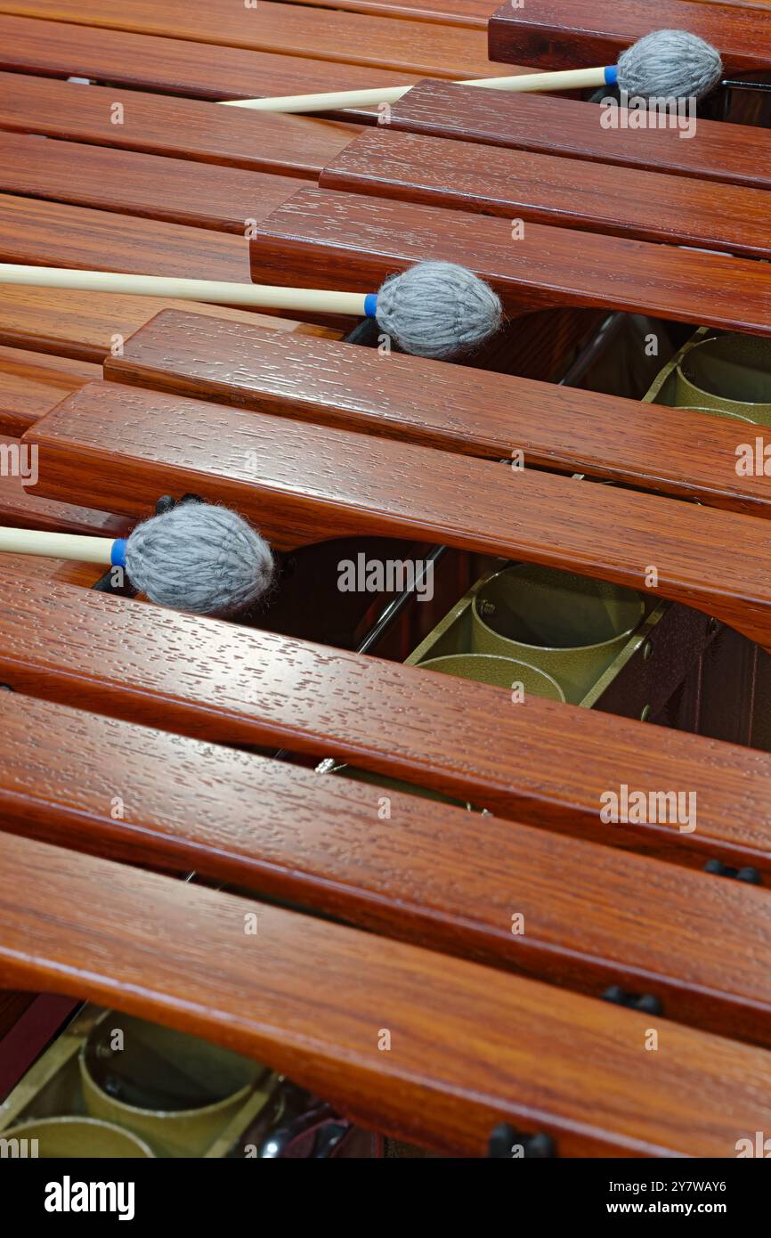 Xylophone, instrument de musique à percussion en bois. Gros plan, fond abstrait de l'industrie musicale. Banque D'Images