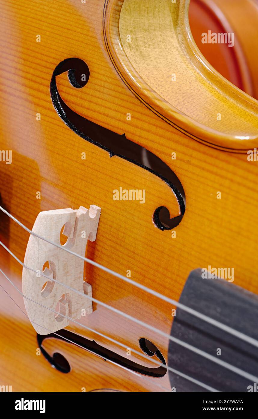 Violon, instrument de musique acoustique classique à cordes. Gros plan, fond abstrait de l'industrie musicale. Banque D'Images