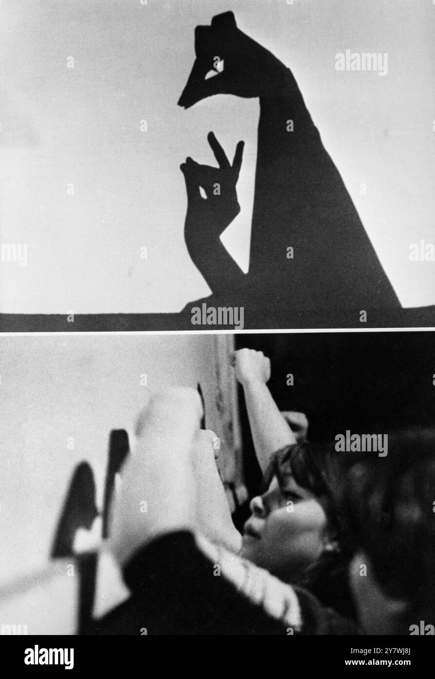 Une ombre d'un kangourou et d'un Joey ( haut - photo ) . Lumières et étudiants bras ( bas - image ) montrent la façon dont il est fait au Théâtre des ombres en Bulgarie . 16 janvier 1969 Banque D'Images