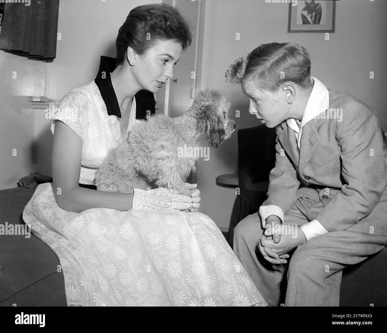 Hollywood : L'actrice britannique Jean Simmons tient son caniche français jouet à admirer par le jeune Jimmy Hunt qui joue avec Jean dans un nouveau film en cours de réalisation ici. Le nom du Caniche est 'Young Queen Bess'. 28 mai 1952 Banque D'Images