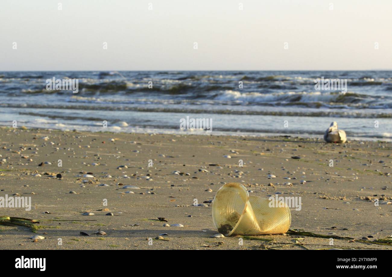 Déchets plastiques sur la plage de la mer Baltique, septembre, Allemagne, Europe Banque D'Images