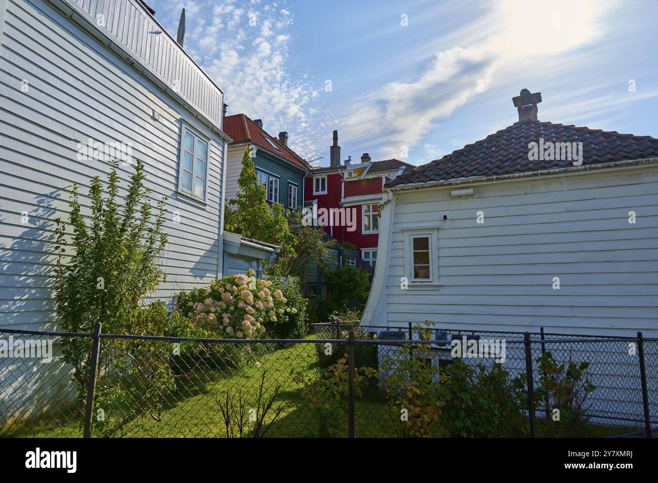 Vue de maisons en bois colorées avec un jardin au premier plan, journée ensoleillée, ciel bleu avec nuages, Bergen, Vestland, Norvège, Europe Banque D'Images