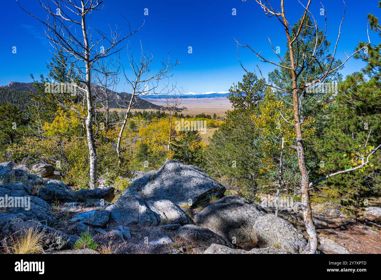 Wilkerson Pass dans le Colorado avec vue sur la chaîne de montagnes ColleGiant Banque D'Images