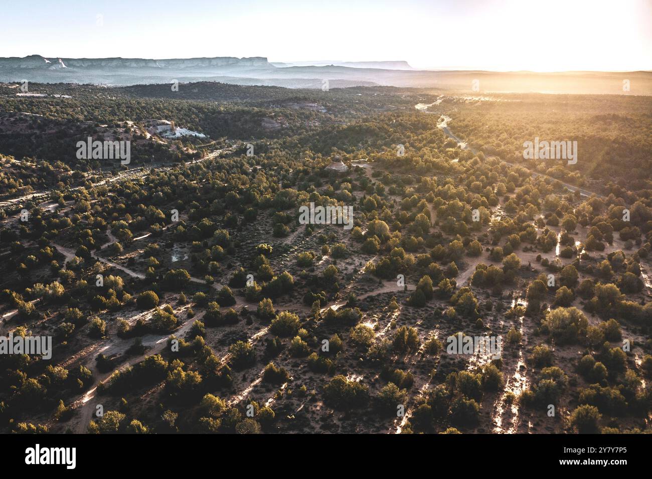 Vue aérienne par drone d'une forêt à l'extérieur de Kanab, Utah, États-Unis Banque D'Images