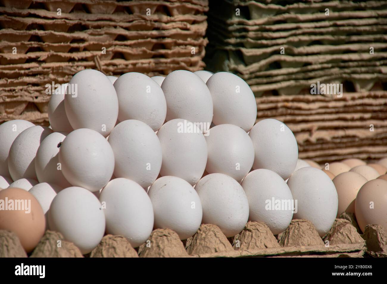 Les œufs blancs sont soigneusement exposés en grandes quantités au Chorsu Bazaar, le célèbre marché agricole de Tachkent. Ces œufs frais sont un aliment de base en UZB Banque D'Images