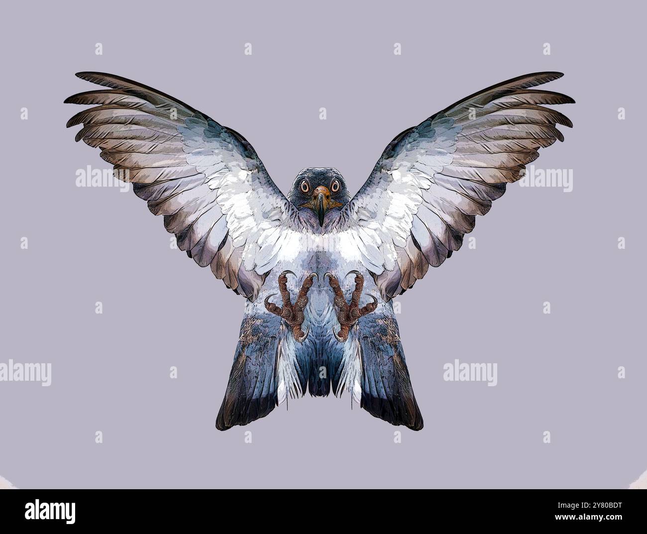 Dessin d'un oiseau fictif avec des ailes battantes Banque D'Images
