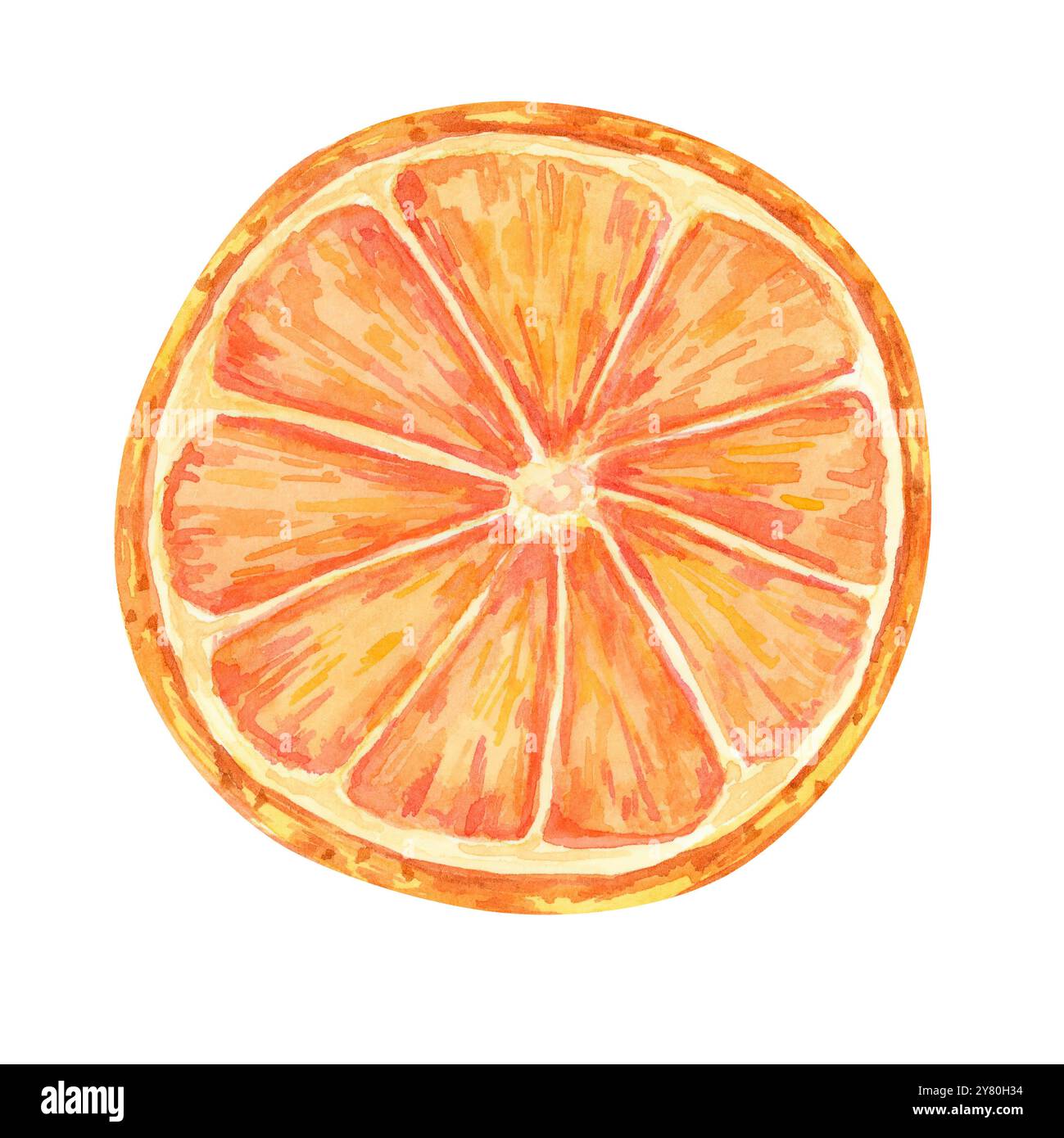 Une tranche d'orange, de mandarine ou de mandarine aux tons rougeâtre-orange. Illustration aquarelle. Clipart isolé pour l'image de marque liée aux fruits, les menus de restaurant ou les designs sur le thème des agrumes pour les emballages alimentaires Banque D'Images