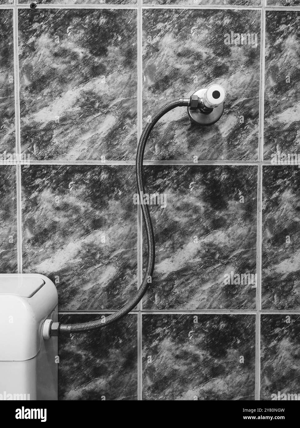 Tuiles murales en marbre et détails de salle de bains : réservoir de toilette et conception de valve Banque D'Images