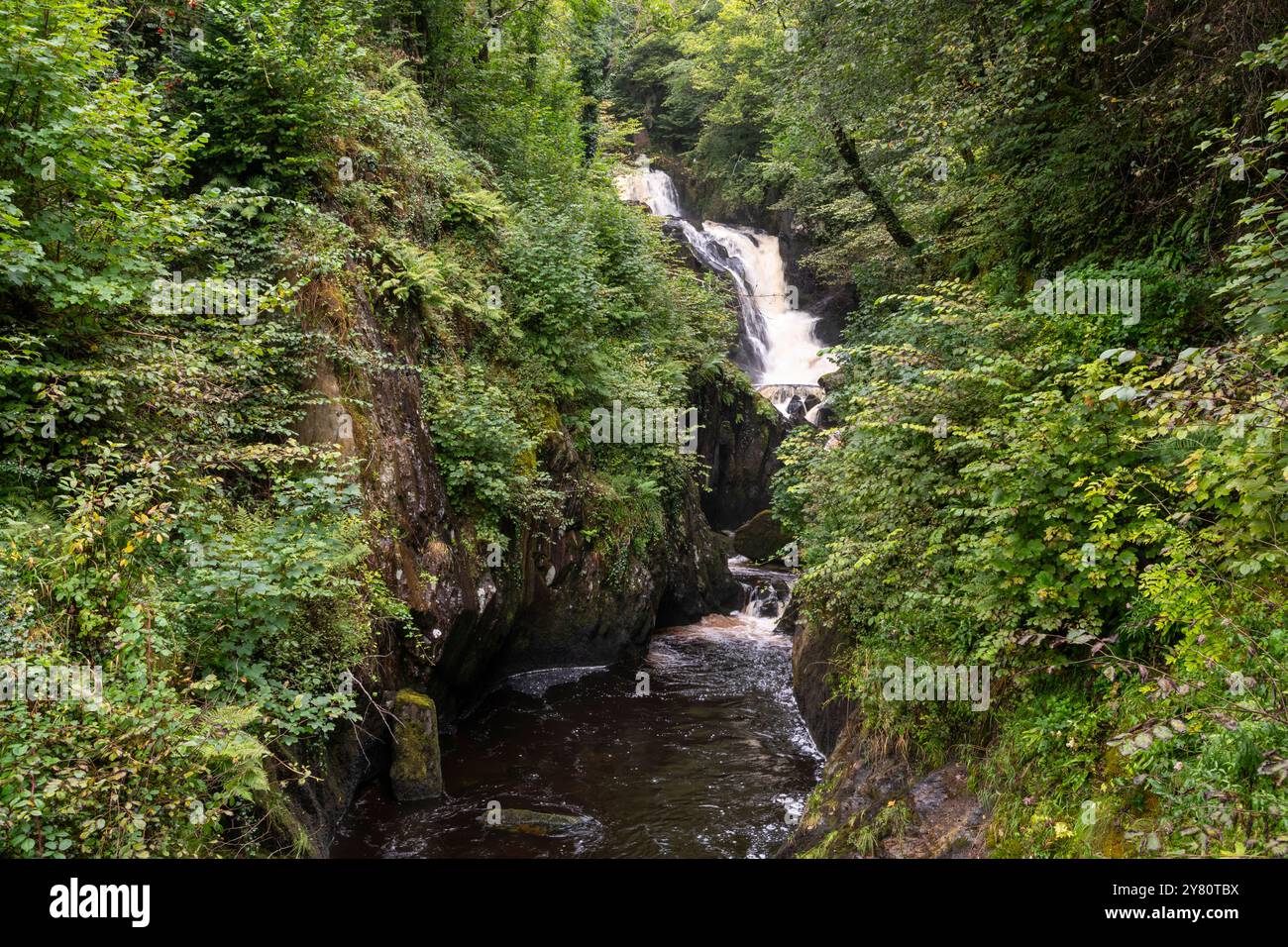 Pecca Falls, le sentier des chutes d'eau d'Ingleton dans le Yorkshire du Nord, en Angleterre. Banque D'Images