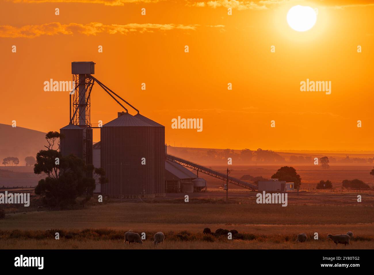 Vue lointaine d'un silo à grains contre un ciel de coucher de soleil orange vif à Moolort dans le centre de Victoria, Australie. Banque D'Images